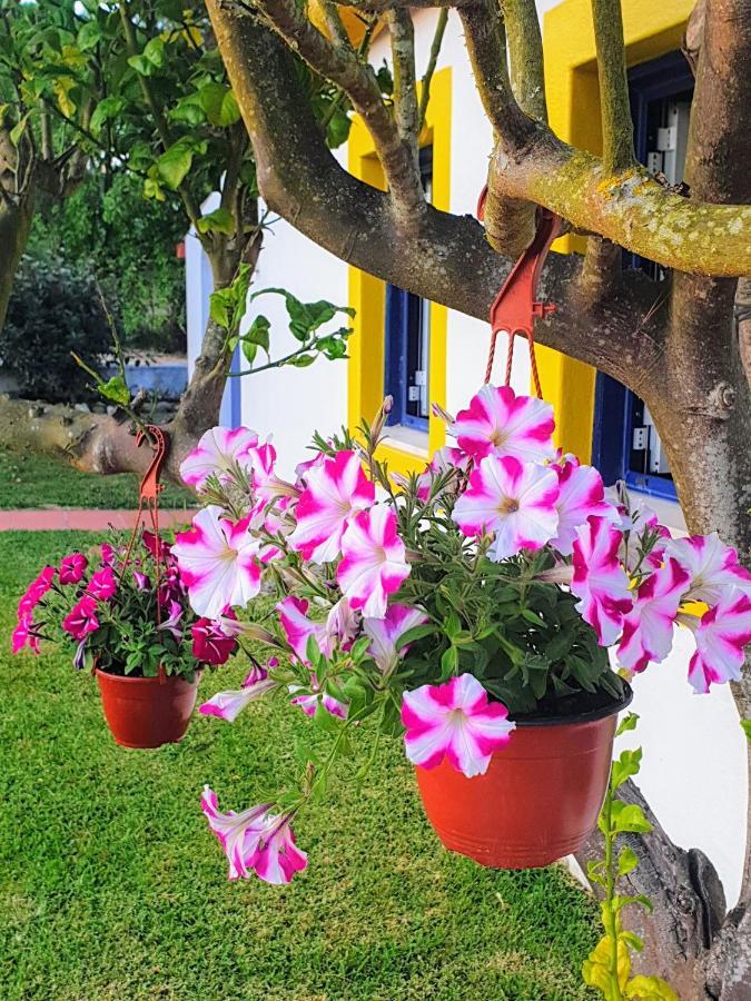 Sondela Self Catering Villa São Martinho do Porto Dış mekan fotoğraf