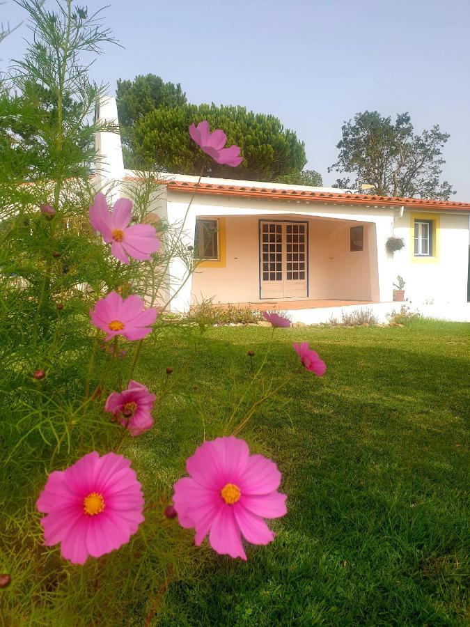 Sondela Self Catering Villa São Martinho do Porto Dış mekan fotoğraf
