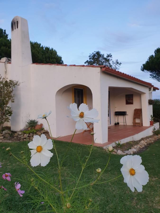 Sondela Self Catering Villa São Martinho do Porto Dış mekan fotoğraf