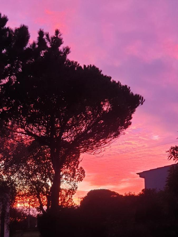 Sondela Self Catering Villa São Martinho do Porto Dış mekan fotoğraf