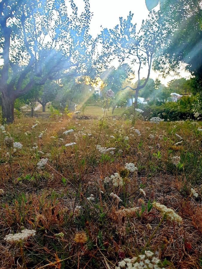 Sondela Self Catering Villa São Martinho do Porto Dış mekan fotoğraf