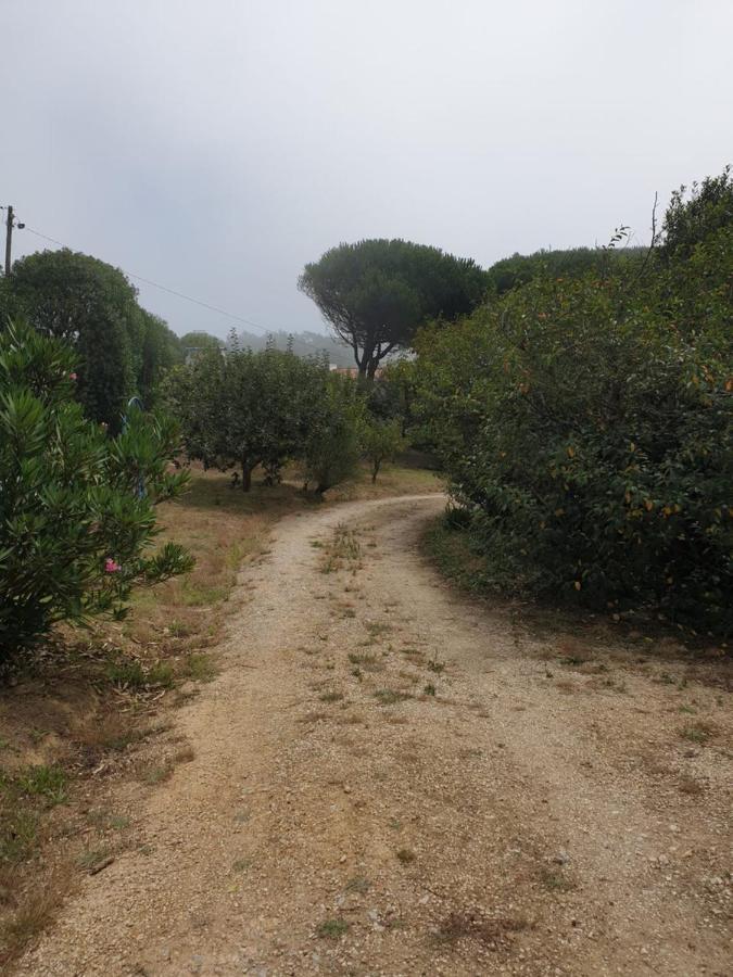 Sondela Self Catering Villa São Martinho do Porto Dış mekan fotoğraf